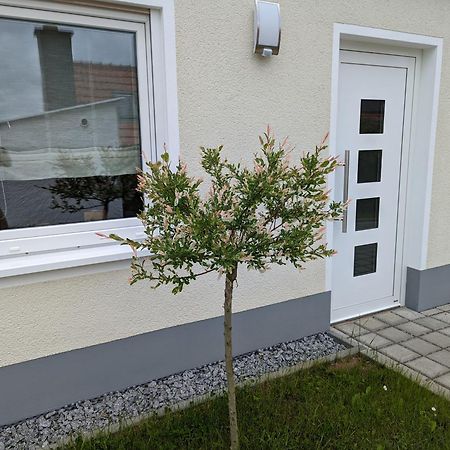Ferienhaus Zum Kuckuck, Wng 2, Urlaub Im Eichsfeld Kallmerode Eksteriør billede