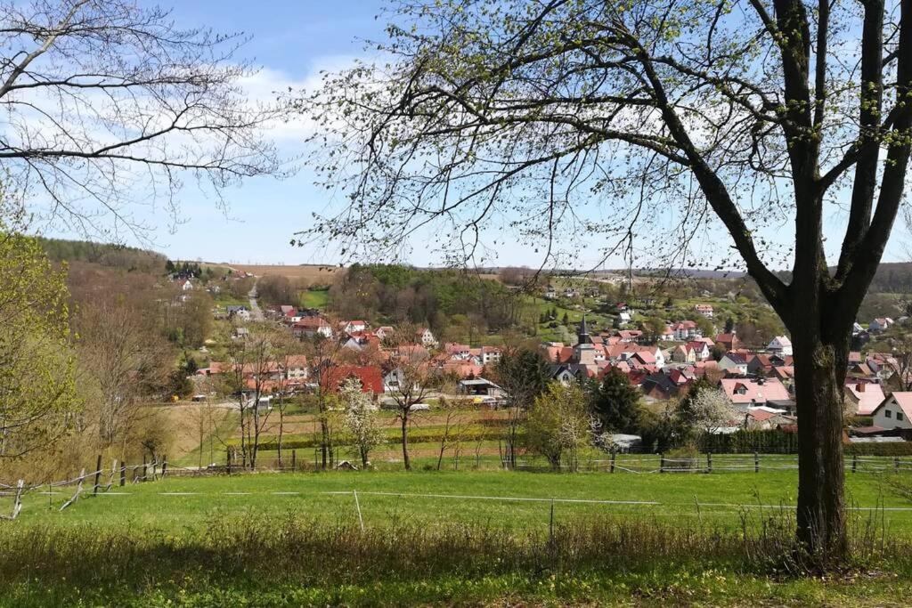 Ferienhaus Zum Kuckuck, Wng 2, Urlaub Im Eichsfeld Kallmerode Eksteriør billede