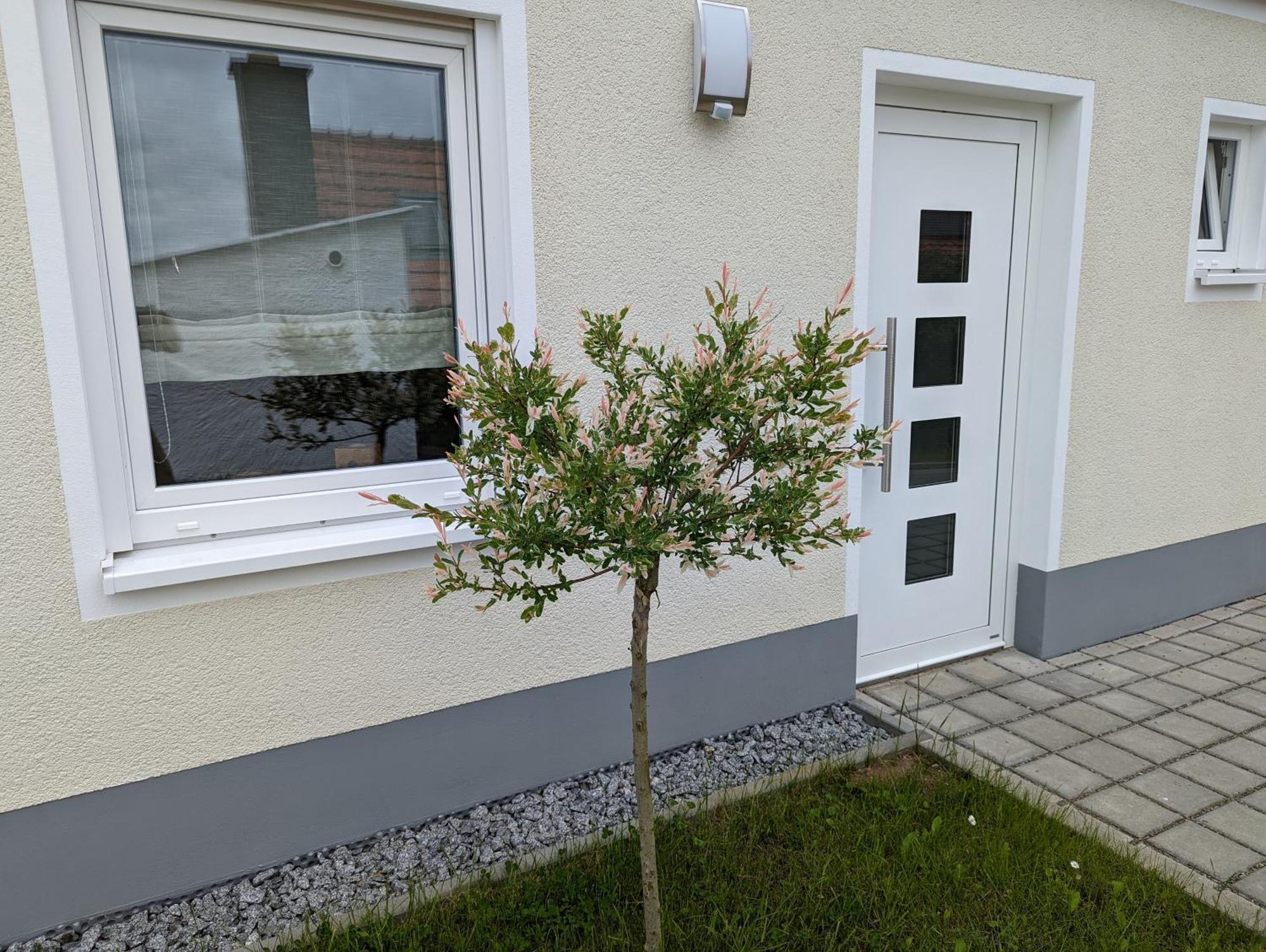 Ferienhaus Zum Kuckuck, Wng 2, Urlaub Im Eichsfeld Kallmerode Eksteriør billede